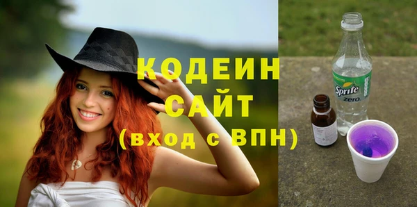 apvp Гусиноозёрск