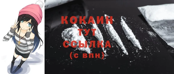 apvp Гусиноозёрск