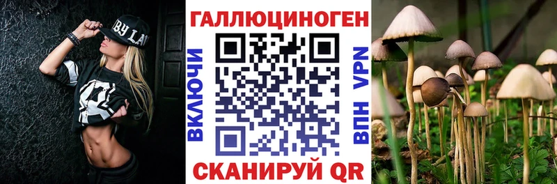 OMG ССЫЛКА Меленки Галлюциногенные грибы MAGIC MUSHROOMS продажа наркотиков