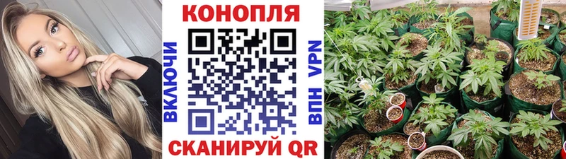 Бошки марихуана VHQ  Меленки 